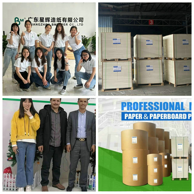 o PE de 70gsm 80gsm 90gsm Oilproof Brown revestiu Rolls de papel ao envolvimento de alimento