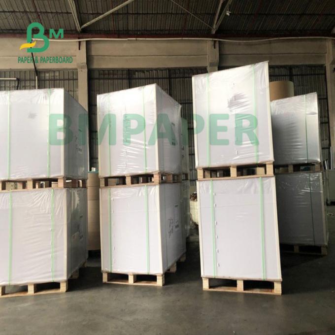 Resistência de água resistência da dobradura do papel baixo do copo do PE 200g + 20g