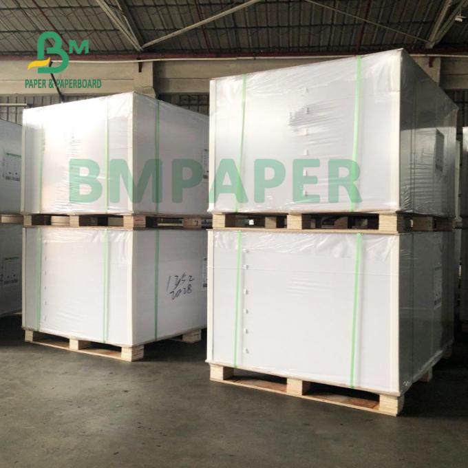 Contato do produto comestível com papel do estoque do copo do alimento para a bacia 700mm x 1000mm de Noodel