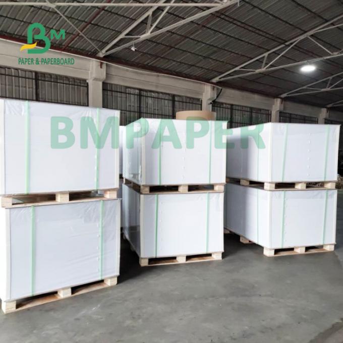 maleabilidade de papel do único copo revestido lateral do PE 180gsm + 15gsm boa
