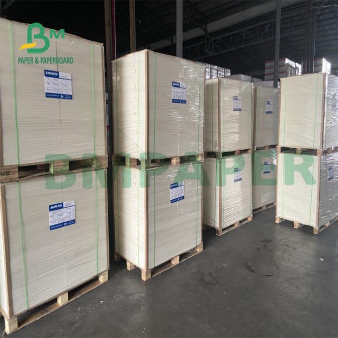 FDA certificou Eco - placa revestida amigável do recipiente para a caixa do empacotamento de alimento