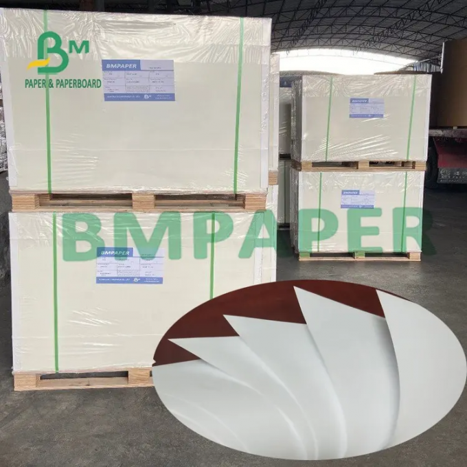 250gsm revestiu o supermercado fino à prova de graxa do cartão brilhante do produto comestível que envolve o papel enorme