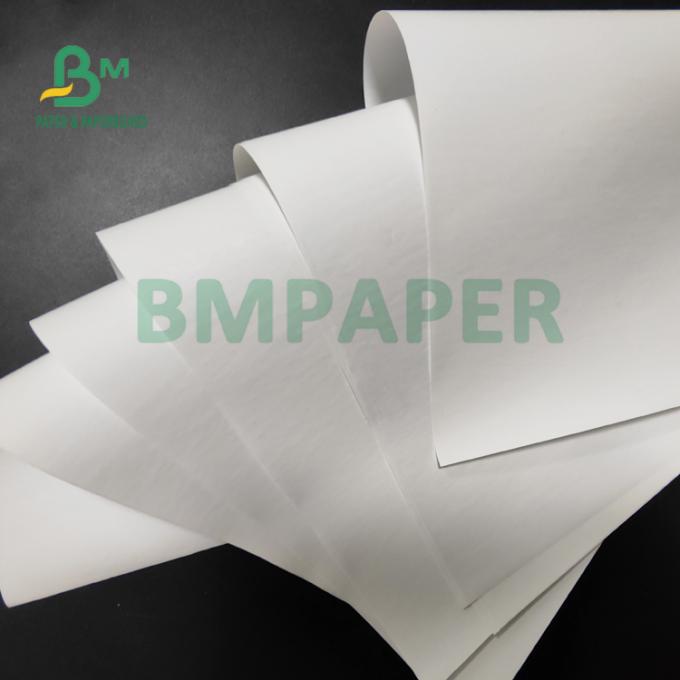 papel térmico de rolo 55gsm enorme para impressoras da posição boa dureza de 565mm x de 6000m