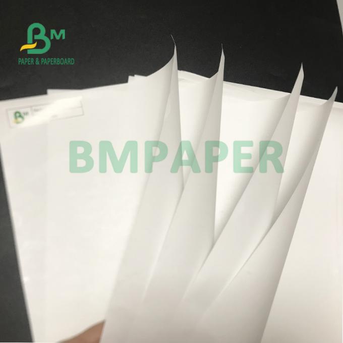 papel térmico da caixa registadora impermeável de 65gsm 72gsm para o registro do supermercado