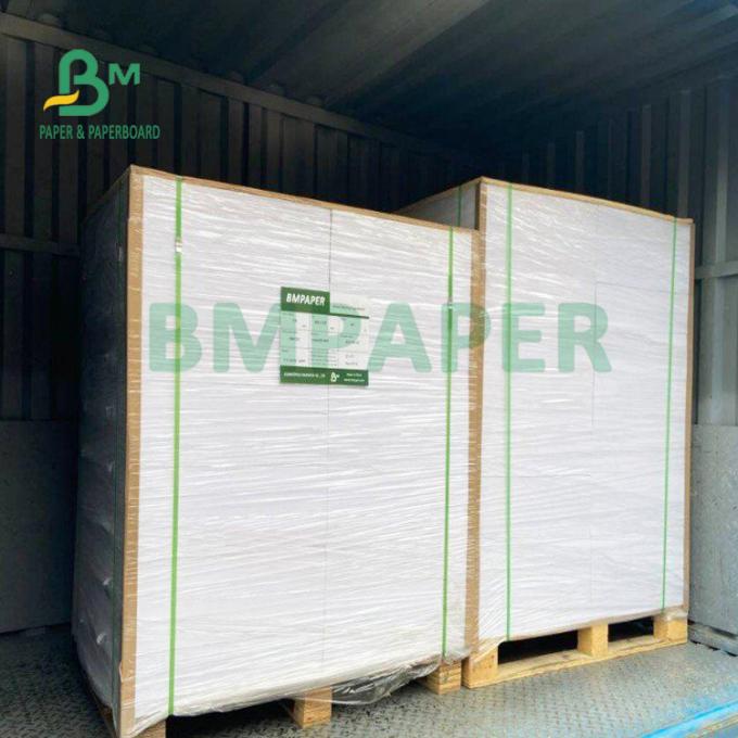 resistência de dobramento excelente de papel de 135gsm + de 15gsm Polycoated Cupstock