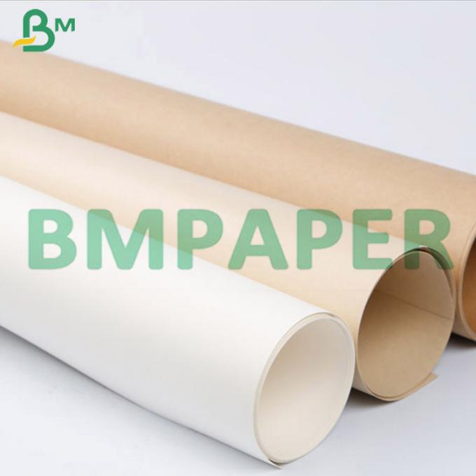 do copo revestido da bacia do macarronete do produto comestível do PE de 215g 230g placa de papel conservada em estoque no rolo enorme (5)