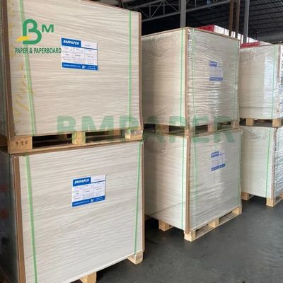 250gsm 300gsm C1S Kraft para trás revestiu a placa frente e verso para o cofre forte do alimento da caixa da salada