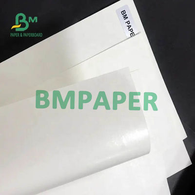 Rolo de papel do estoque branco do copo único lado 200gsm + 15PE revestido para o copo de papel