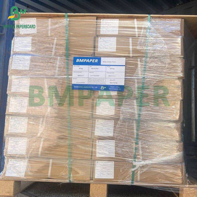 80g Excelente Impressão Azul Púrpura CAD Plotter Paper para Engenharia