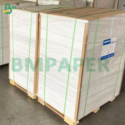 135-350 GSM Rolo de papel para recipiente de alimentos de alta rigidez para tigela de papel