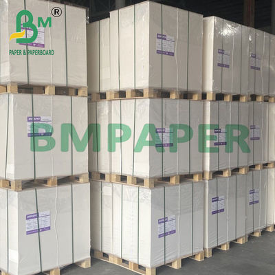 Papel sintético PET duplo revestido de 200um para cartões de visita 70 * 100cm