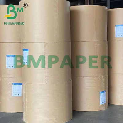 240g + 15g White Cup Stock Paper Virgin Pulp Material de qualidade alimentar