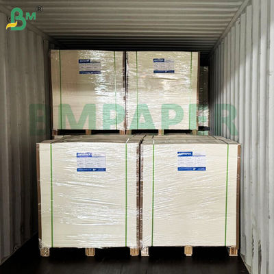 210 g + 15 g Single PE Coated Cup Stock Paper com 100% de pasta de madeira virgem