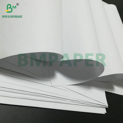 Papel sem madeira para composição ou livros temáticos