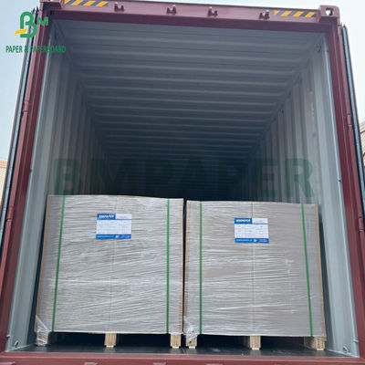 450 gm 400 gm C1S Papel revestido de argila com parte traseira cinzenta de 22 &quot;x 24&quot; folhas