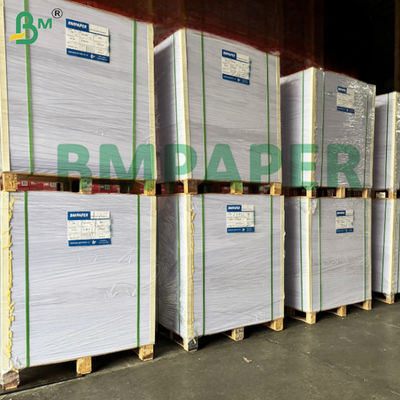 Papelão OBA livre de tamanho duro para caixas de alimentos congelados com revestimento PE