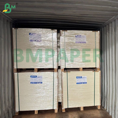 210gm 220gm Kit 6 Greaseproof Board para recipiente de alimentos 24 x 36 polegadas impermeável
