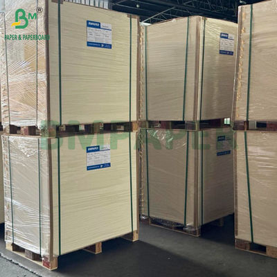Papel para embalagem de alimentos congelados de alta rigidez 275gsm + 15g PE revestido 635 X 902mm