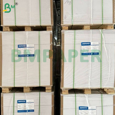 Folhas de Papel Base para Copos à Prova de Vazamento, Revestidas com PE em um Lado, 250+15 gsm