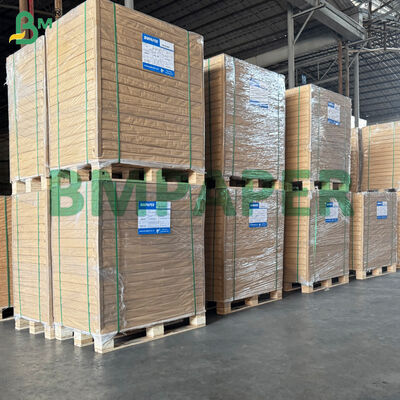 Revestimento em PET de papelão resistente ao calor para placas de papel descartáveis