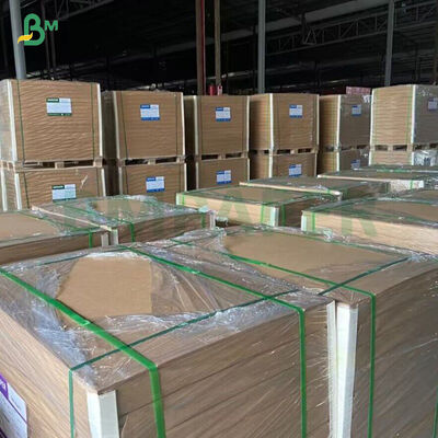 260GSM+ 18GSM FDA Papel Kraft de Bambú Degradável Com Papel de Taça Revestido PE / PLA