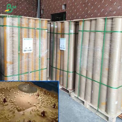 Papel Absorvente Marrom para Frangos de 40gsm a 110gsm, Largura de 34 polegadas e 36 polegadas