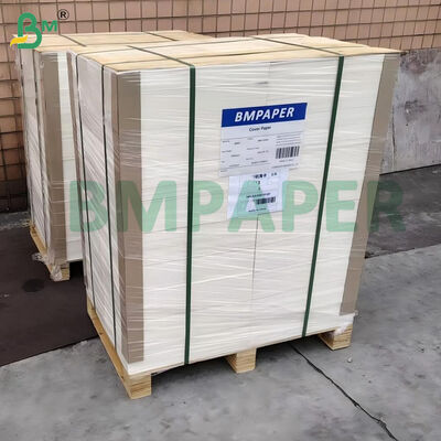 Cartolina Bristol Branca Não Revestida Lisa de 100lb (270gsm) 22" x 30"