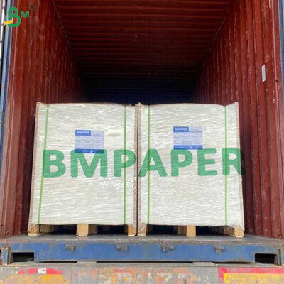 Revestimento em PE de qualidade alimentar de alta rigidez Cupstock impermeável à fuga