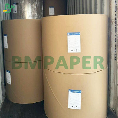 Rolos de Papel de Cozedura de Grau Alimentar Resistente a Altas Temperaturas de 42gsm