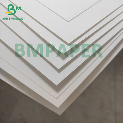 Placa de papel branca do copo do produto comestível 100gsm para o material dos copos do cone