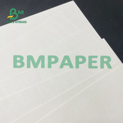 cor branca do rolo de papel do estoque do copo de 100gsm 120gsm para o copo do cone