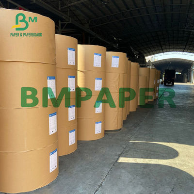cor branca do rolo de papel do estoque do copo de 100gsm 120gsm para o copo do cone