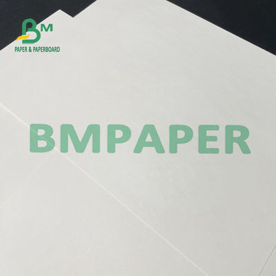 cor branca do rolo de papel do estoque do copo de 100gsm 120gsm para o copo do cone
