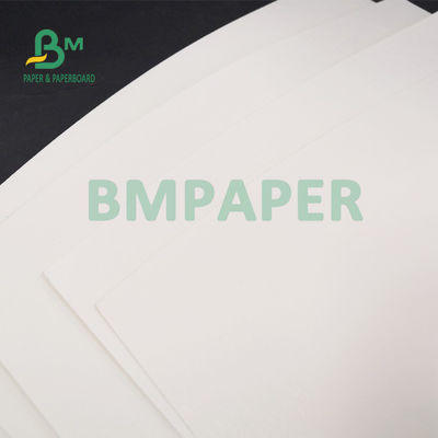 Polpa de madeira de 100% folha de papel revestida do PE 210g + 15g para copos bebendo 720mm 880mm