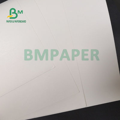 Polpa de madeira de 100% folha de papel revestida do PE 210g + 15g para copos bebendo 720mm 880mm