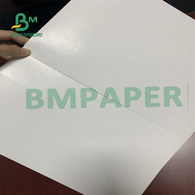 A placa de papel da rigidez alta SBS, um lado revestiu Clay Folding Box Board Paper branco