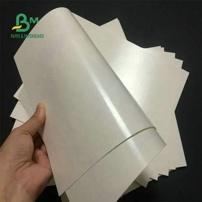Produto comestível 260 + papel revestido do estoque do copo do PE 15 branco para o copo de café