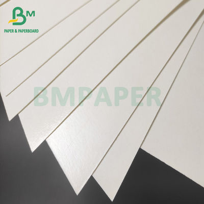 Placa de papel conservada em estoque do único copo lateral dobro lateral, 250g + placa revestida do PE 15 para copos das bacias