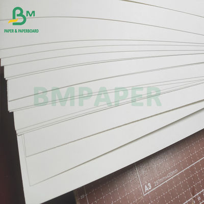 Placa de papel conservada em estoque do único copo lateral dobro lateral, 250g + placa revestida do PE 15 para copos das bacias
