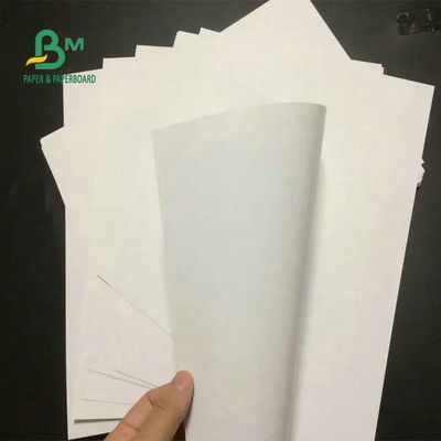 fatura lustrosa branca de 95 x de 130cm 200gram 250gram Art Paper Roll For Brochure