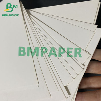 A placa de papel do marfim SBS, um lado revestiu o Livro Branco 350gsm 375gsm 70cm x 100cm