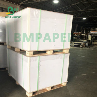 resistência de água da resistência da dobradura do papel baixo do copo do PE 200g + 20g