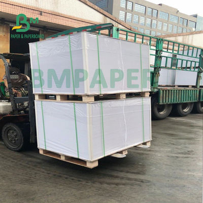resistência de água da resistência da dobradura do papel baixo do copo do PE 200g + 20g