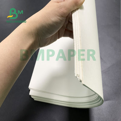 Placa de papel do estoque do copo do produto comestível para a bacia 700mm x 1000mm do macarronete