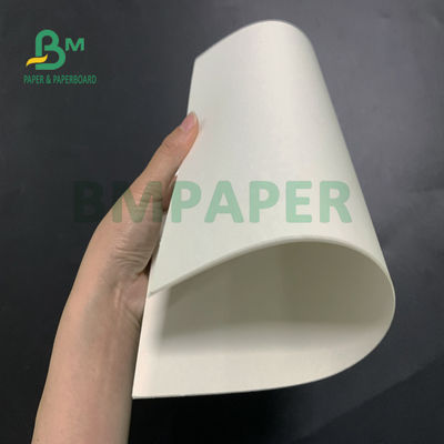 Placa de papel do estoque do copo do produto comestível para a bacia 700mm x 1000mm do macarronete