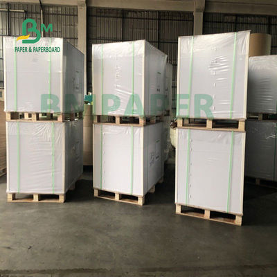 Placa de papel do estoque do copo do produto comestível para a bacia 700mm x 1000mm do macarronete