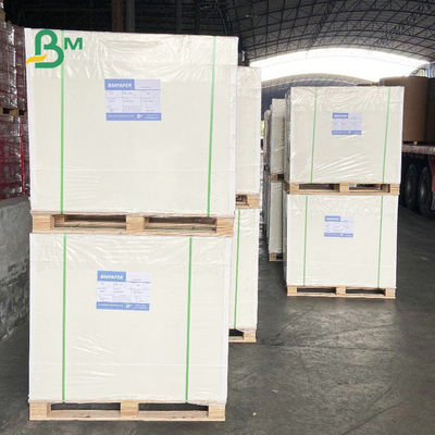 Papel 1.4mm branco da pousa-copos da absorção de ponto alto 0.9mm para Beermat
