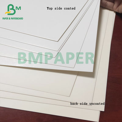 Rolo do papel do congelador do produto comestível, revestimento branco do cartão 350gsm de C1S
