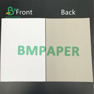 Clay Coated Duplex Board branco, reciclado reduz a polpa Gray Back Board 0.3mm - 2mm grossos