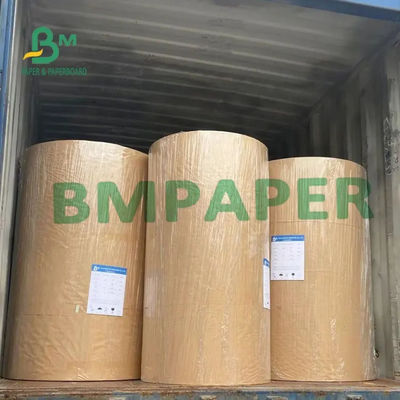 sem revestimento livre de papel térmico branco do rolo BPA de 55g 65g 70g para o registro